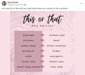 Facebook Group Engagement Post Ideas For Massive Engagement