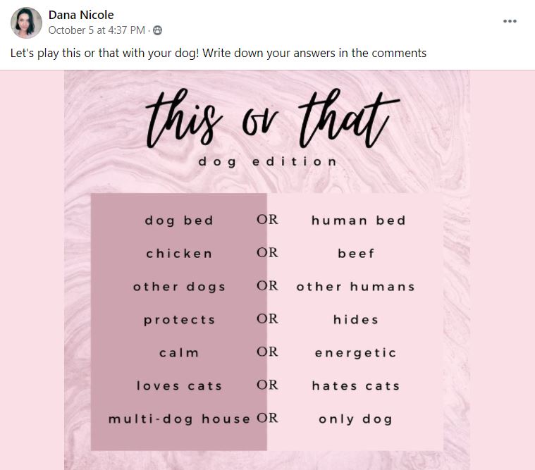An image that says “This or That, dog edition”.